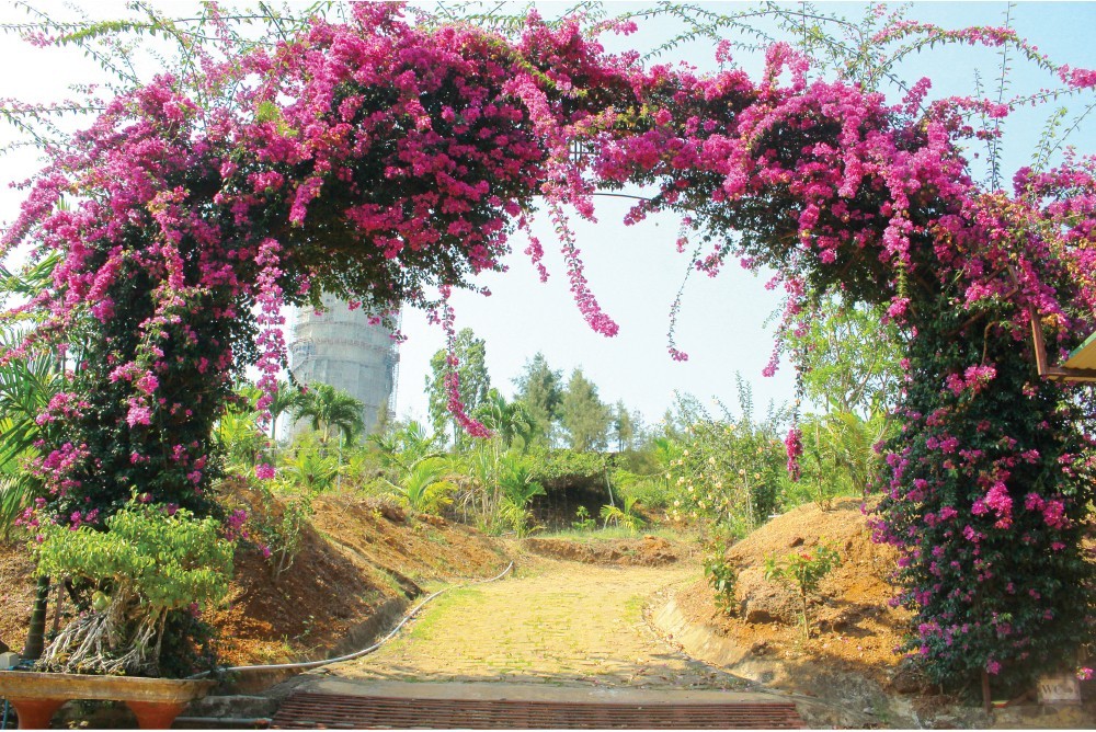 The 4-meter high bougainvillea arch gate in Minh Duc Pagoda