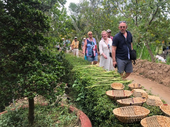 International visitors visit Tien Giang Province in March. (Photo: SGGP) International visitors visit Tien Giang Province in March. (Photo: SGGP)
