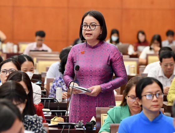 HCMC focuses on solutions for speeding up public investment disbursement ảnh 10