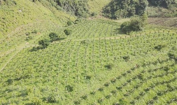 Illustrative image (Source: VNA)