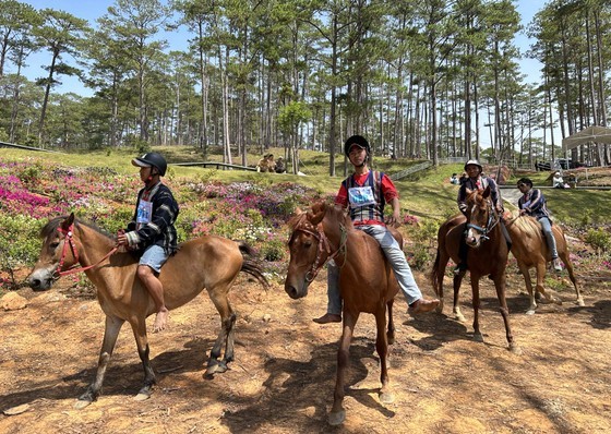 Horse and riders in the competition (Photo: SGGP)