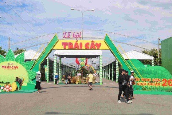 The first fruit festival in Ninh Son District of the central coastal province of Ninh Thuan opens on June 15-17. (Photo: SGGP)