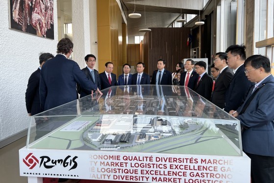 HCMC's leaders learn about the organization and operational experience of Rungis International Market. (Photo: SGGP)