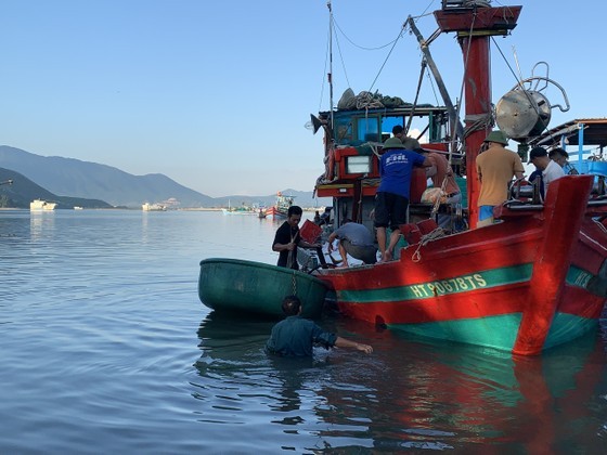 Fishermen of the fishing boat of Mr. Le Van Tinh catch a huge haul of more than three tons of Snubnose pompano. (Photo: SGGP)