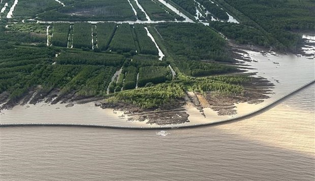 Up to 286 out of the total 744 kilometres of coastline in the region has been seriously eroded. (Photo: VNA) Up to 286 out of the total 744 kilometres of coastline in the region has been seriously eroded. (Photo: VNA)