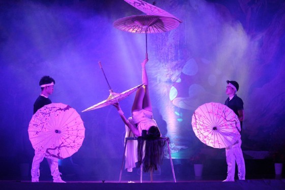 A performance of the circus gala