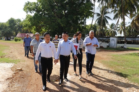 The delegation of HCMC surveyed the agricultural production model in Cuba. (Photo: SGGP) The delegation of HCMC surveyed the agricultural production model in Cuba. (Photo: SGGP)