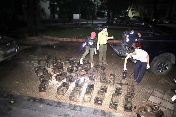 The special task force rescues wild animals trapped by hunters. (Photo courtesy of Cuc Phuong National Park)