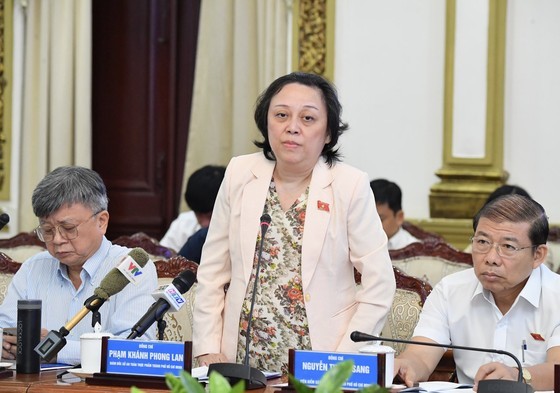 NA Deputy Pham Khanh Phong Lan