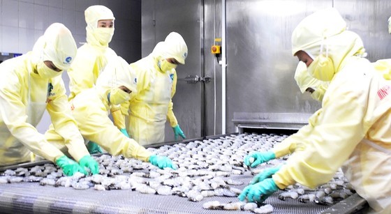 Vietnam’s aquatic product exports are expected to hit US$10 billion this year. (Photo: SGGP)