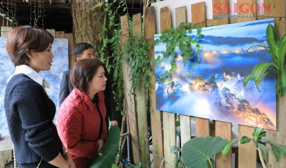 A painting exhibition on Ly Tu Trong Street in Da Lat City