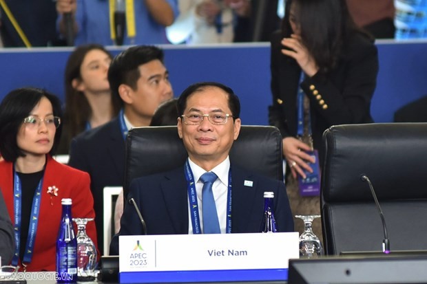 Vietnamese Minister of Foreign Affairs Bui Thanh Son at the event. (Photo: VNA)