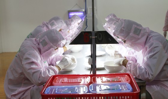 Processing bird's nest at Vietnamese Bird's Nest Exhibition Center in HCMC's Can Gio District (Photo: SGGP)