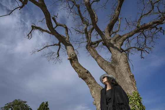 This is the third time artist Thuy Nguyen has been invited to organize an exhibition at Château La Coste in France.