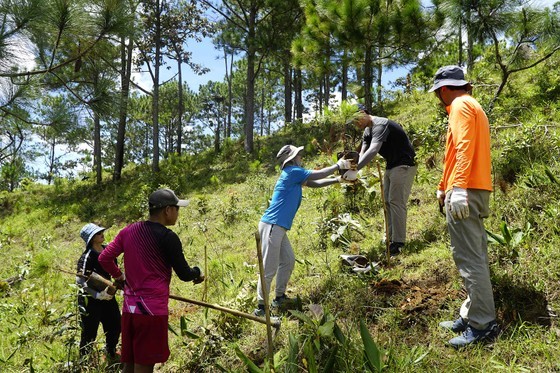 Exploring beauty of Ta Nang-Phan Dung scenic trekking route ảnh 9