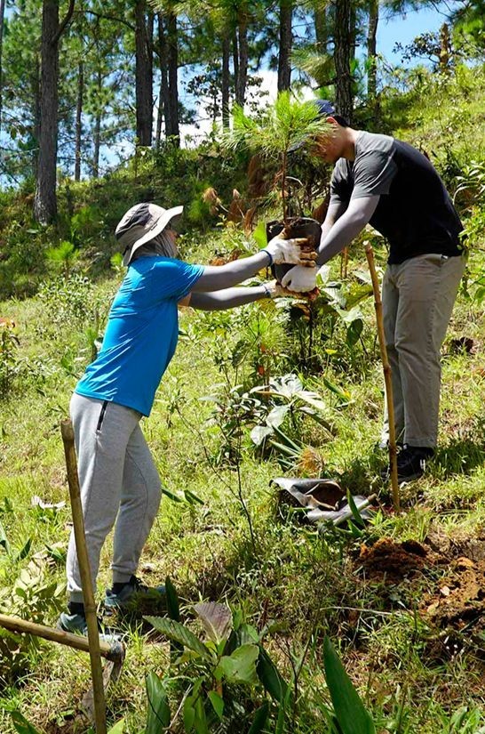 Tourism associated with tree planting activities to green up Ta Nang forest