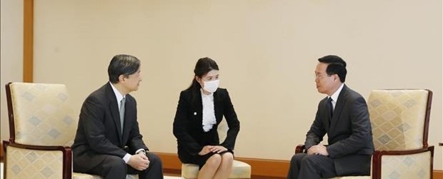 President Vo Van Thuong (R) meets Japanese Emperor Naruhito (Photo: VNA)