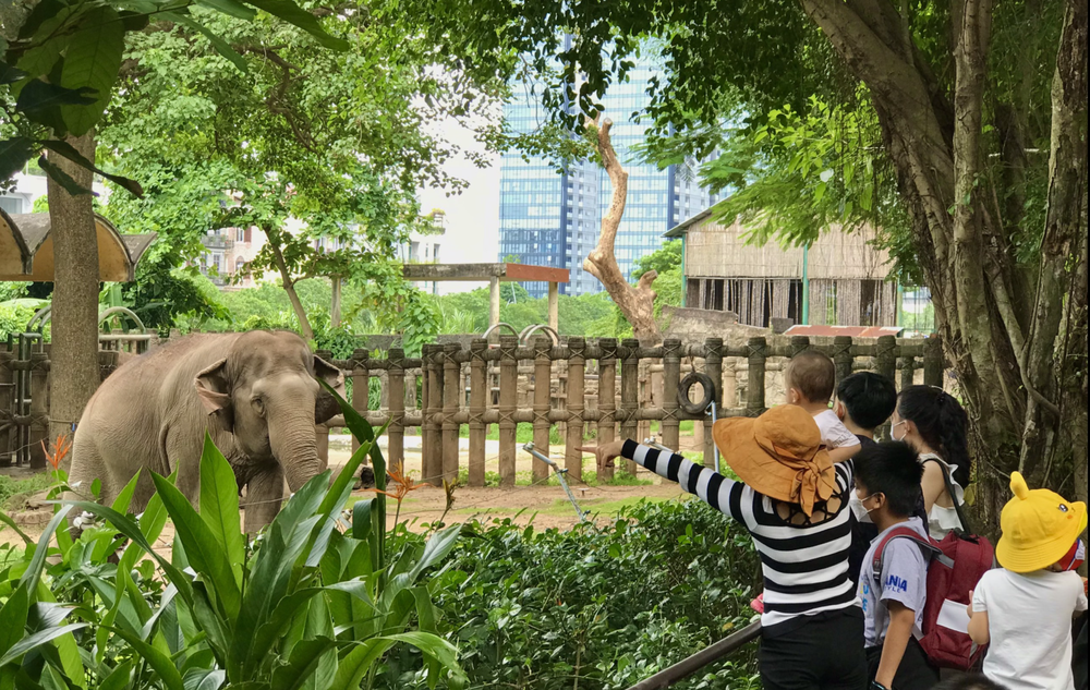 saigonzoo.png