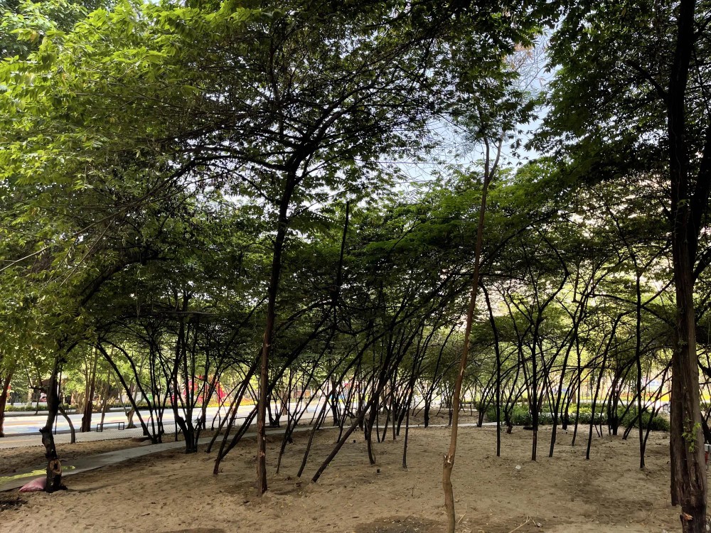 công viên 2.jpg