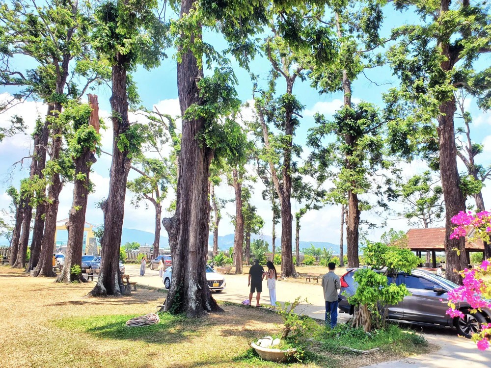 langsong4.jpg