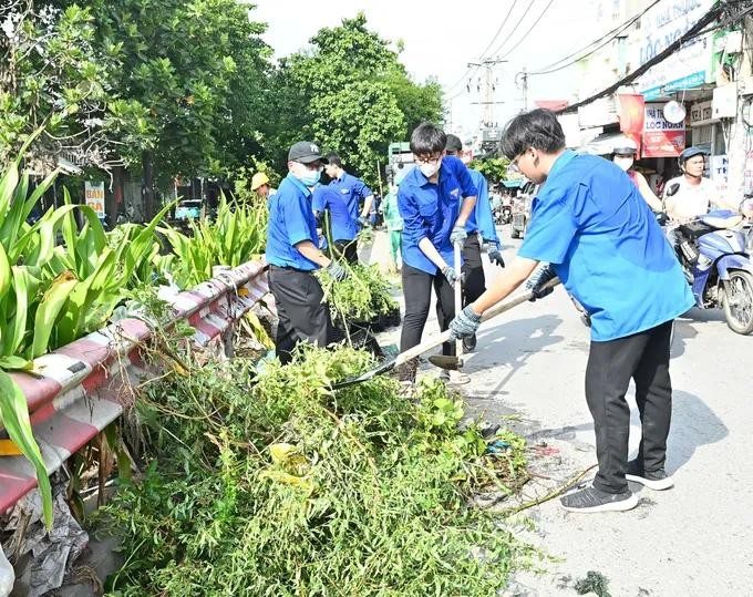 Green Sunday2.jpg