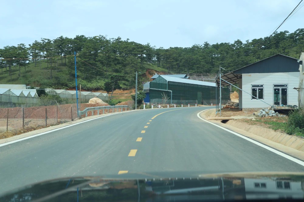 Cam Ly - Phước Thành6.jpg
