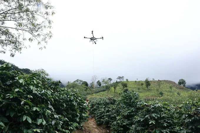 ca-phe-duoc-dong-goi-can-than-truoc-khi-duoc-van-chuyen-tu-vuon-xuong-diem-tap-ket-de-uav-van-chuyeni-9461-3610.jpg