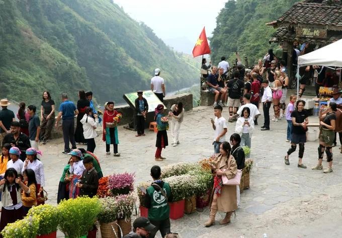 Hoa tam giác mạch3.jpg