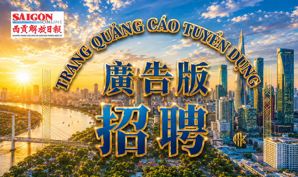 招聘信息 (2026年5月)
