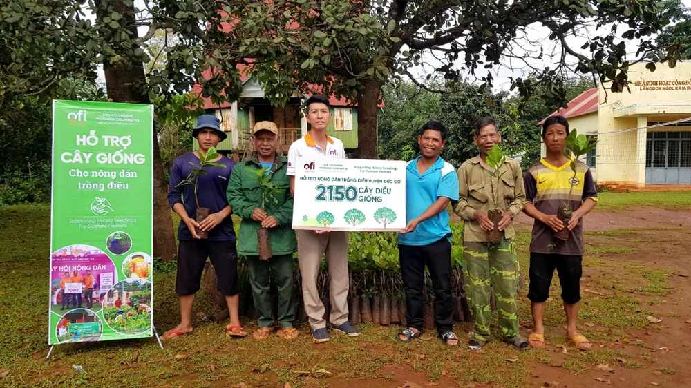 Nông dân được trao tặng cây điều giống chất lượng cao từ Ofi Việt Nam. ( Ảnh: Tài Lộc) 