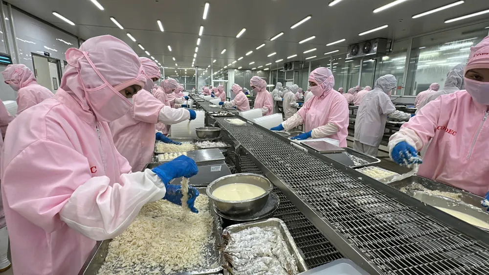 Một dây chuyền sản xuất tại Công ty Cofidec