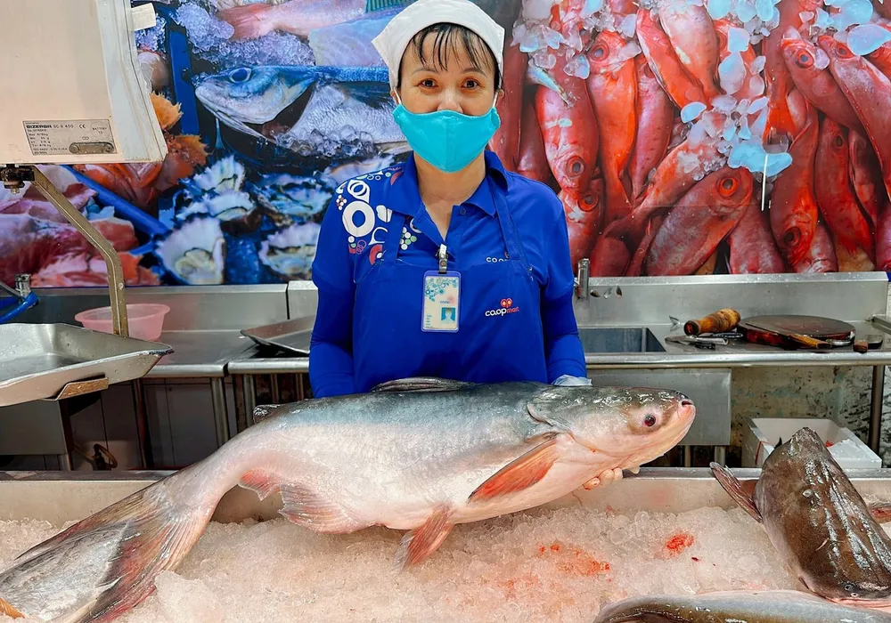 Cá tra được tiêu thụ tại hệ thống siêu thị Saigon Co.op