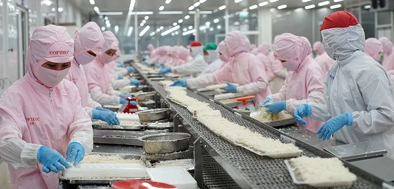 Chế biến tôm đông lạnh xuất khẩu tại Công ty Cofidec, TPHCM