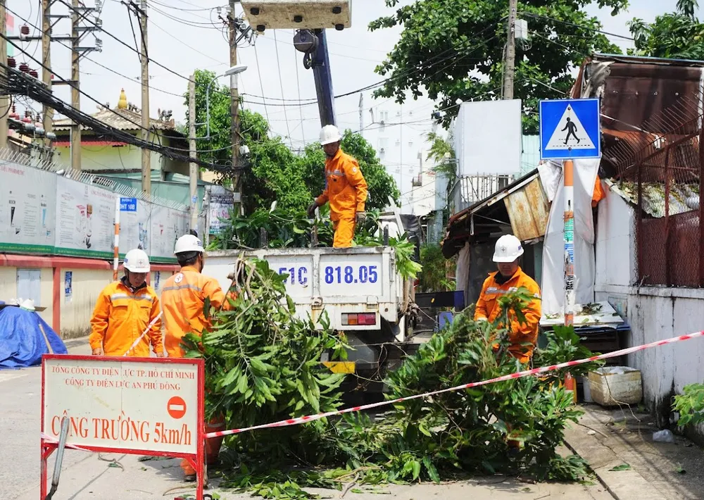 Nhân viên ngành điện TPHCM phối hợp đơn vị quản lý cây xanh thực hiện mé nhánh, tỉa cành, đề phòng cây xanh ngã vào lưới điện