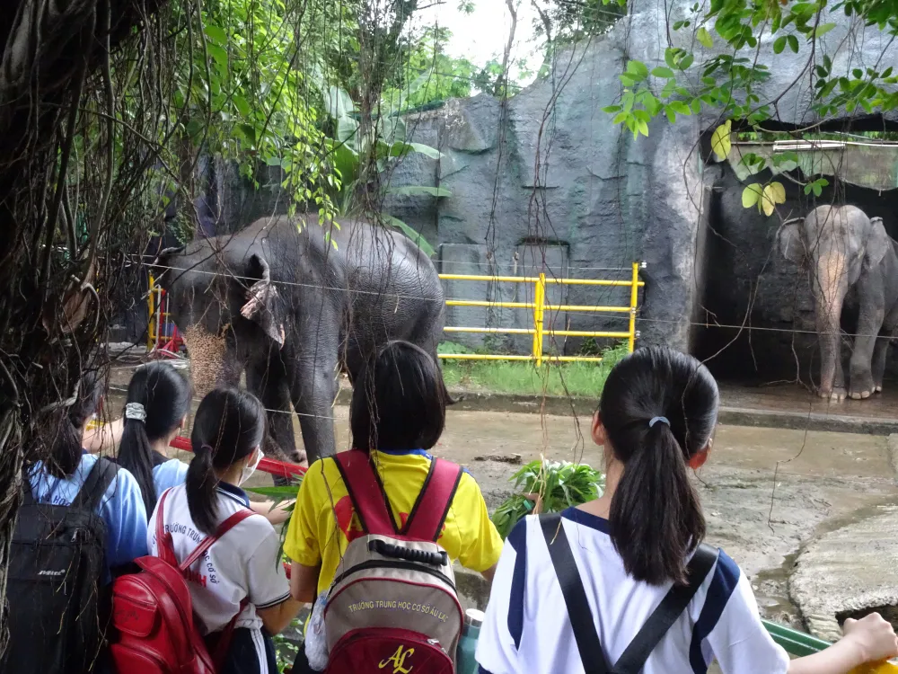 Học sinh hào hứng trải nghiệm trồng rau, chăm sóc thú qua Cuộc thi “Văn hay chữ tốt” do quận Tân Bình tổ chức  ảnh 6