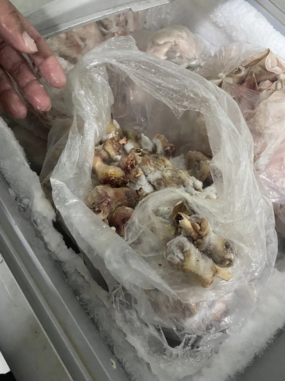 Thực phẩm có dấu hiệu hư hỏng được phát hiện tại tủ đông lạnh của Công ty cung cấp suất ăn P.A.V.L