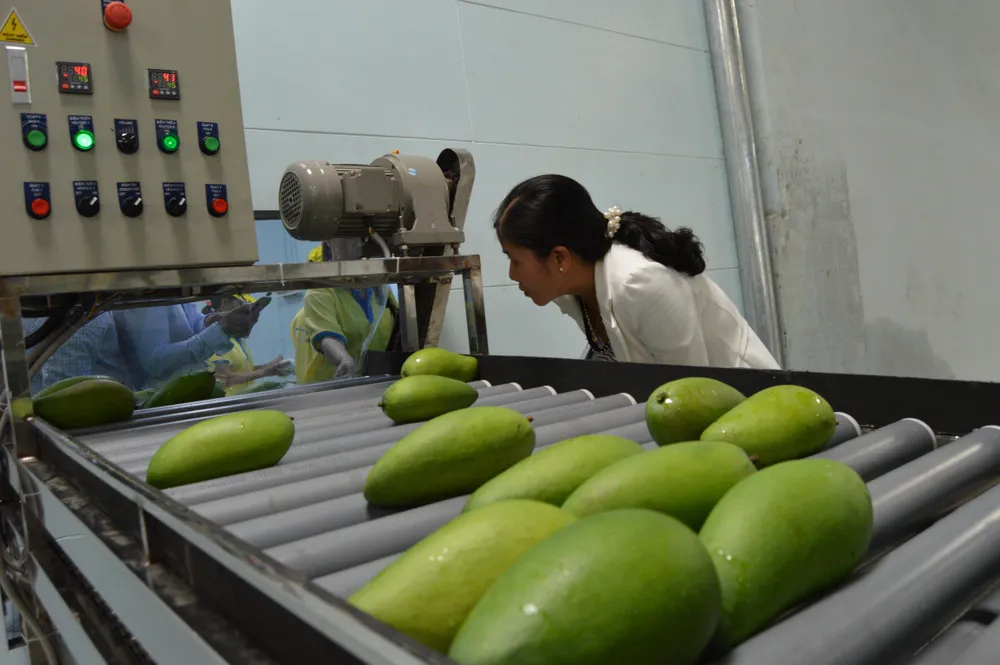 ĐBSCL được đầu tư hơn 22 tỷ USD từ nguồn vốn FDI ảnh 2