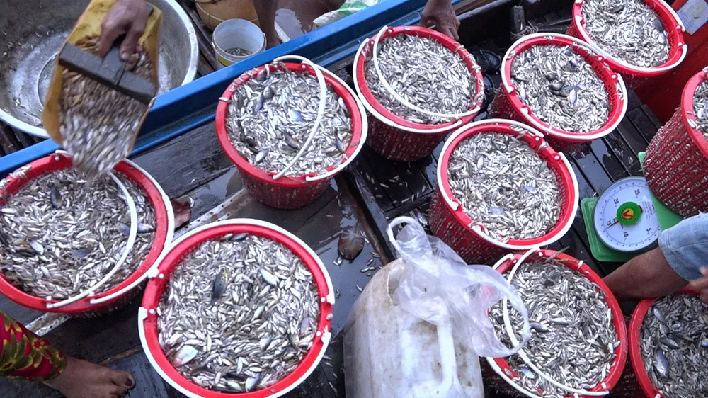 Chợ “hẹn” miền Tây ảnh 3