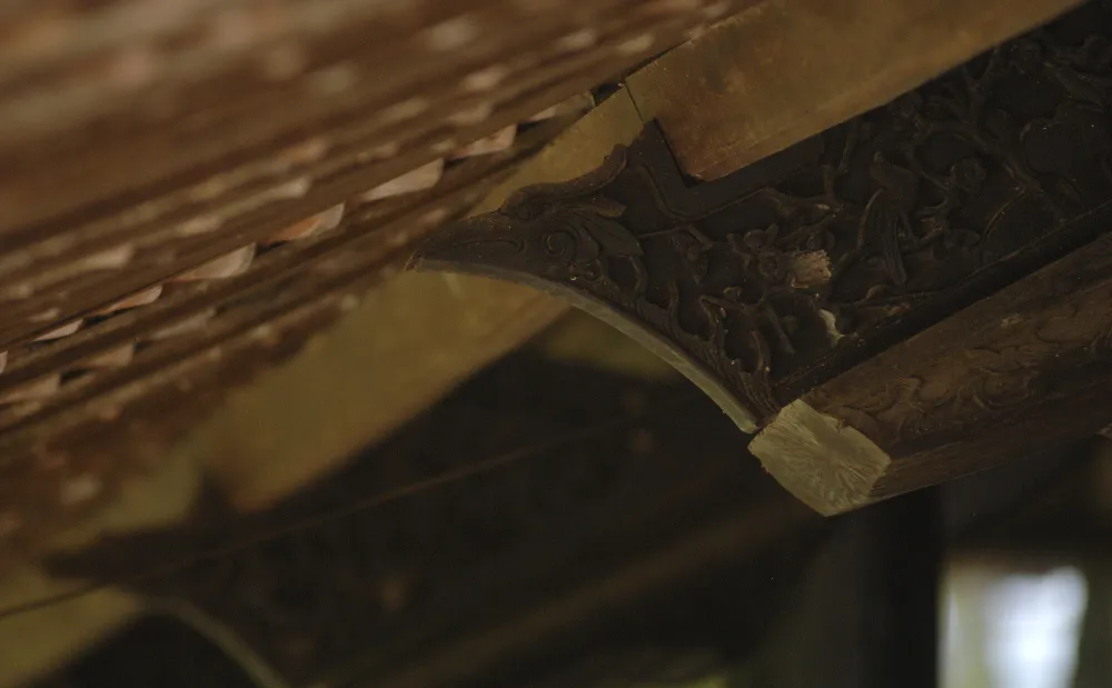 Độc đáo nhà trăm cột bằng gỗ quý tại Đồng Tháp ảnh 13