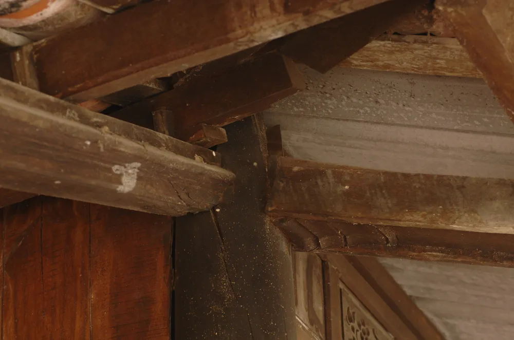 Độc đáo nhà trăm cột bằng gỗ quý tại Đồng Tháp ảnh 15