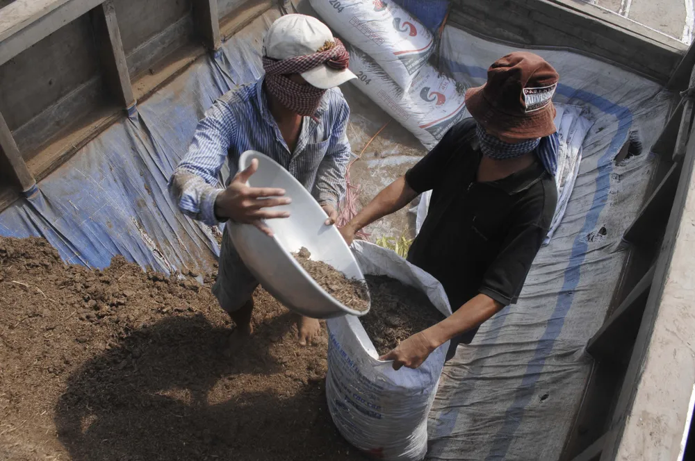 Để làng hoa Sa Đéc khoe sắc 4 mùa ảnh 2