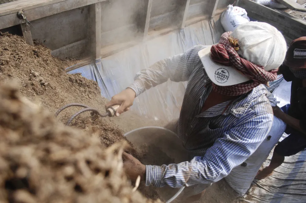 Để làng hoa Sa Đéc khoe sắc 4 mùa ảnh 4