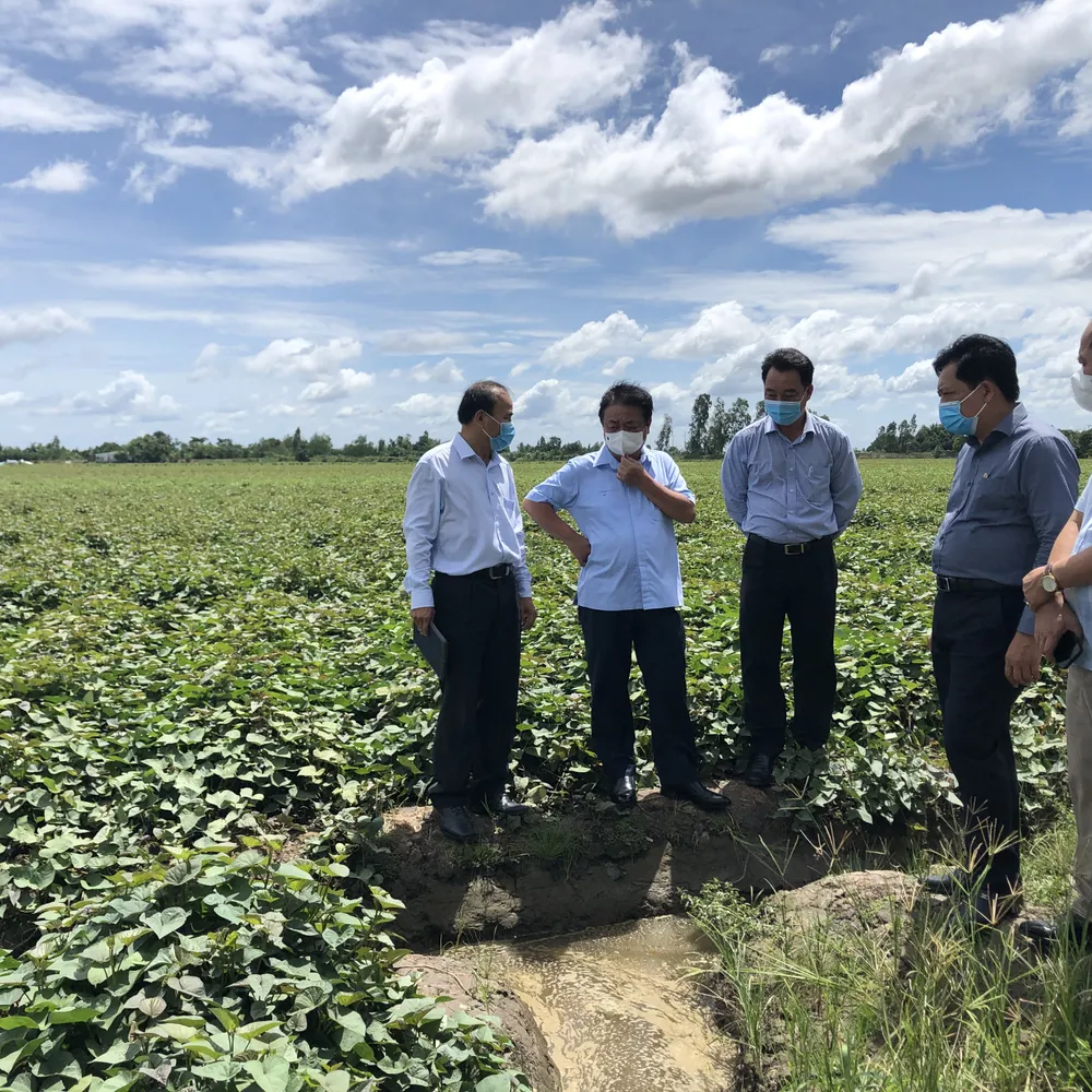 Tìm giải pháp căn cơ cho tiêu thụ nông sản ảnh 2