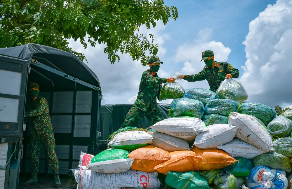Hơn 100 cán bộ chiến sĩ Trung đoàn 320 hỗ trợ vận chuyển nông sản. Ảnh: THẾ HIỂN