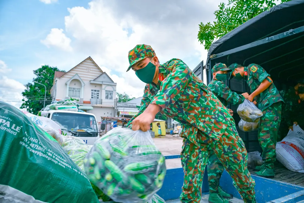 Trung đoàn 320 ở Đồng Tháp hỗ trợ vận chuyển 50 tấn nông sản tặng TPHCM ảnh 1