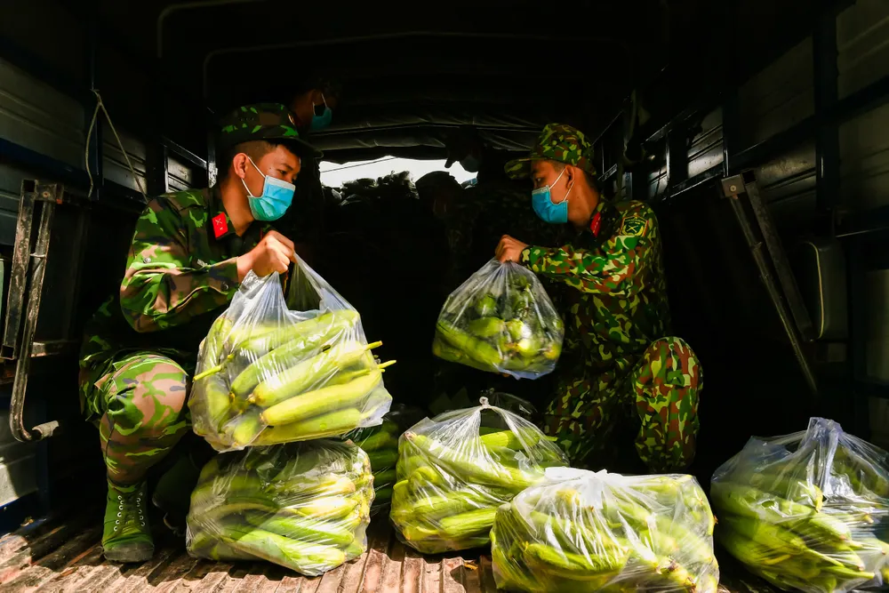 Trung đoàn 320 ở Đồng Tháp hỗ trợ vận chuyển 50 tấn nông sản tặng TPHCM ảnh 2