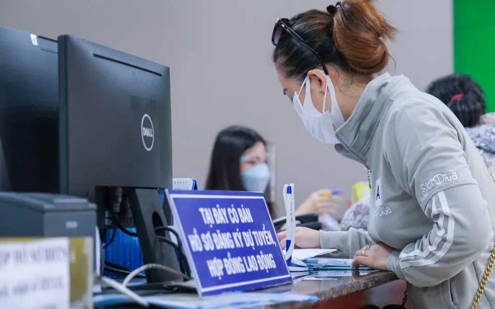 Có hơn 31.000 vị trí việc làm cần tuyển dụng  ​ ảnh 3