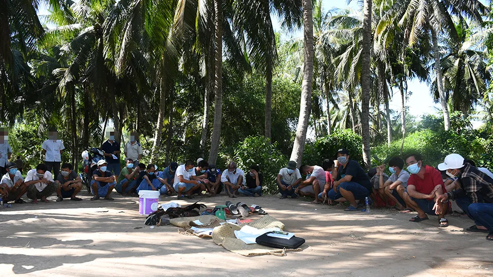 Trà Vinh: Xóa điểm đá gà ăn tiền quy mô lớn ảnh 1