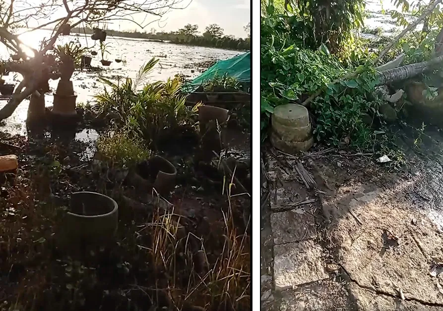 Vụ sạt lở bờ sông Cổ Chiên vẫn diễn biến phức tạp và chưa có dấu hiệu dừng lại ảnh 1