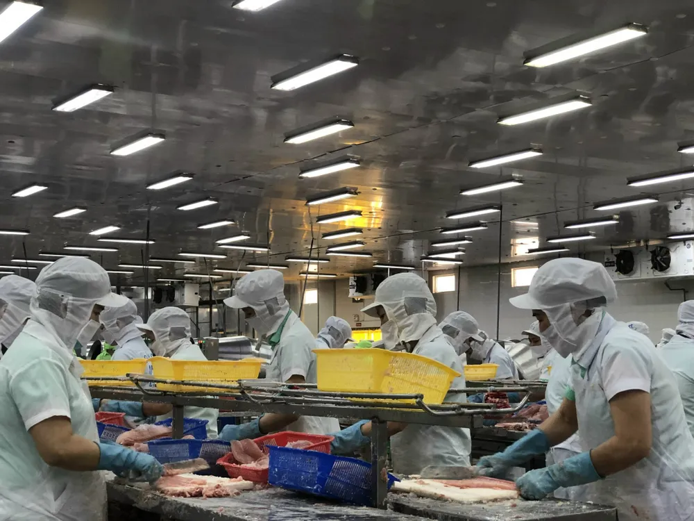 Ảnh - Cần ứng dụng khoa học công nghệ để tăng giá trị sản phẩm con cá tra.jpg